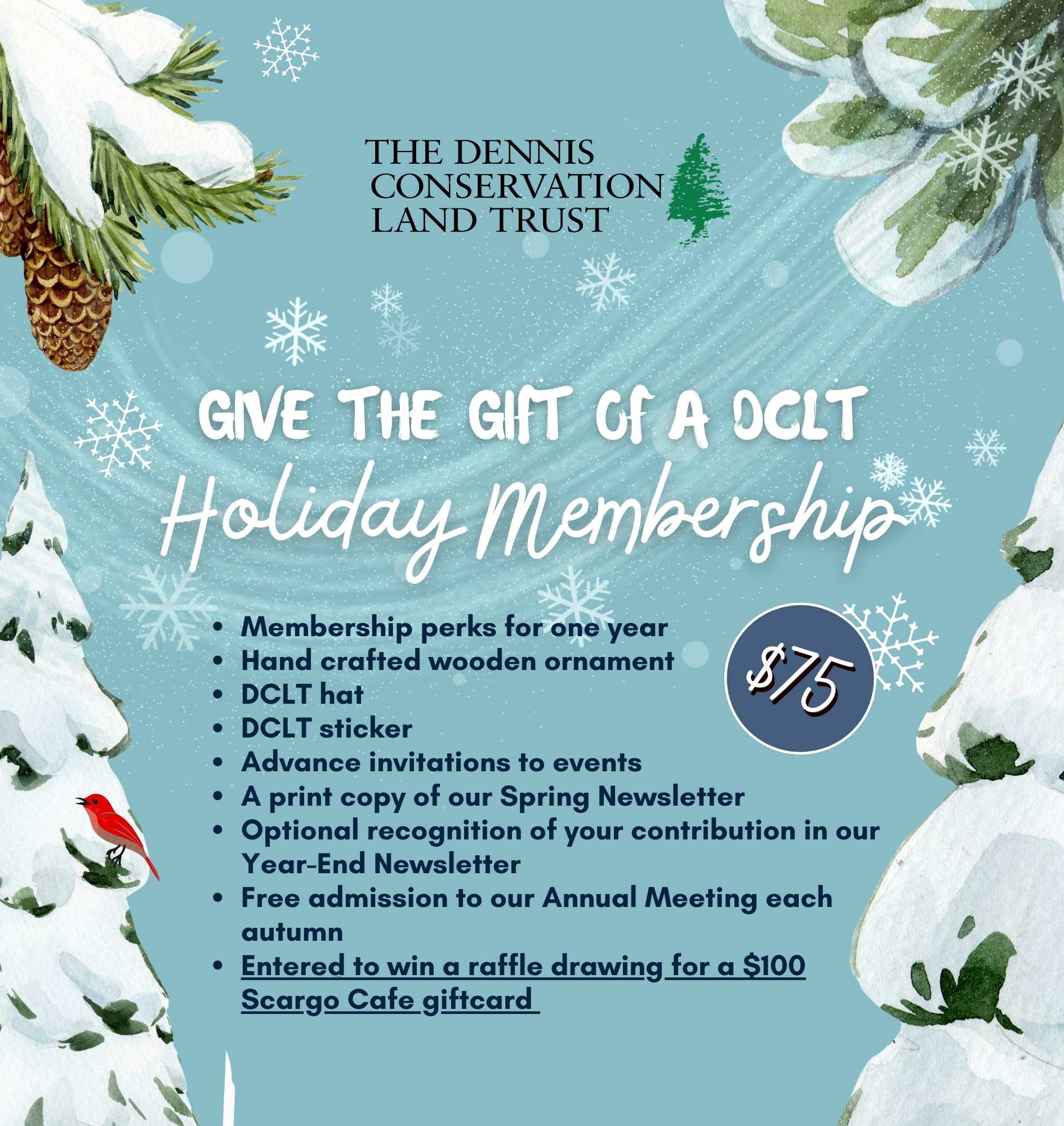 Graphic for Holiday Membership